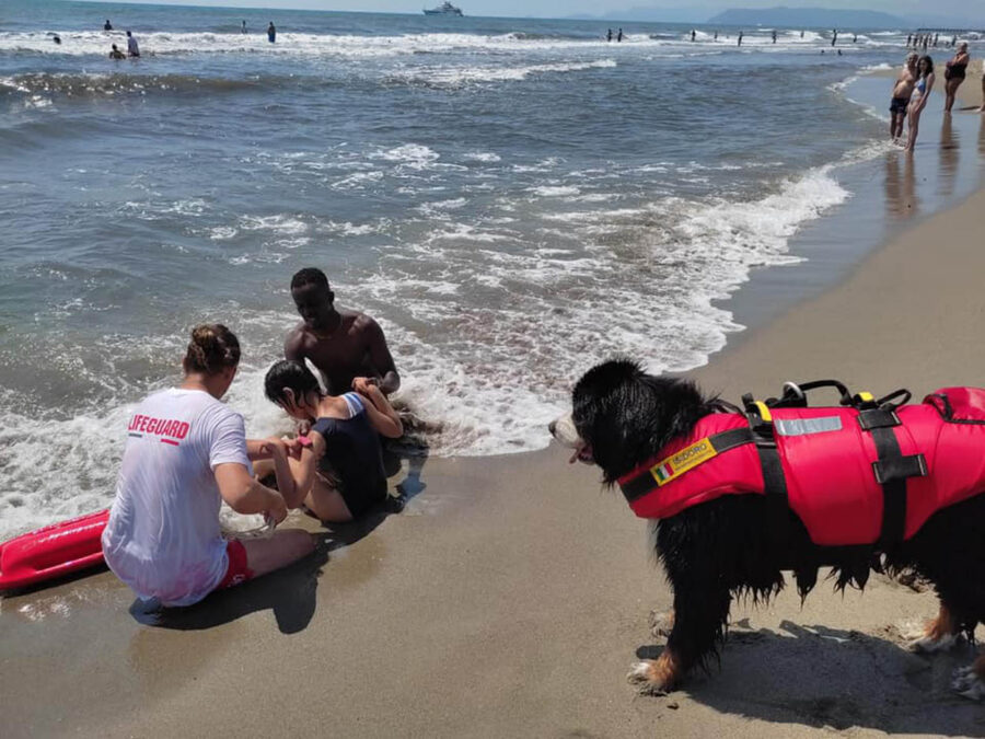 cane salva bambino in mare