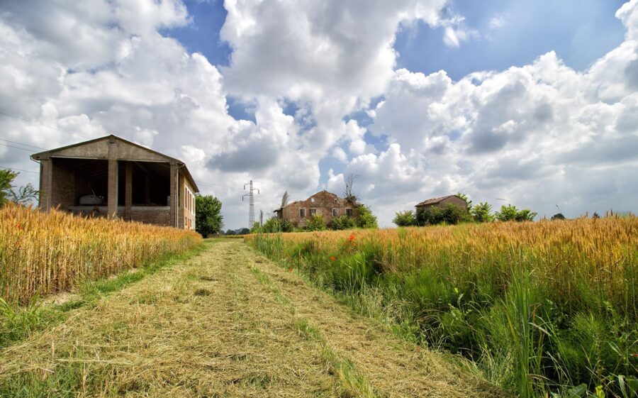 strada di campagna