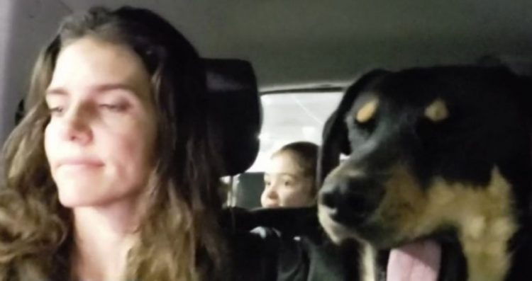 cane in macchina con famiglia