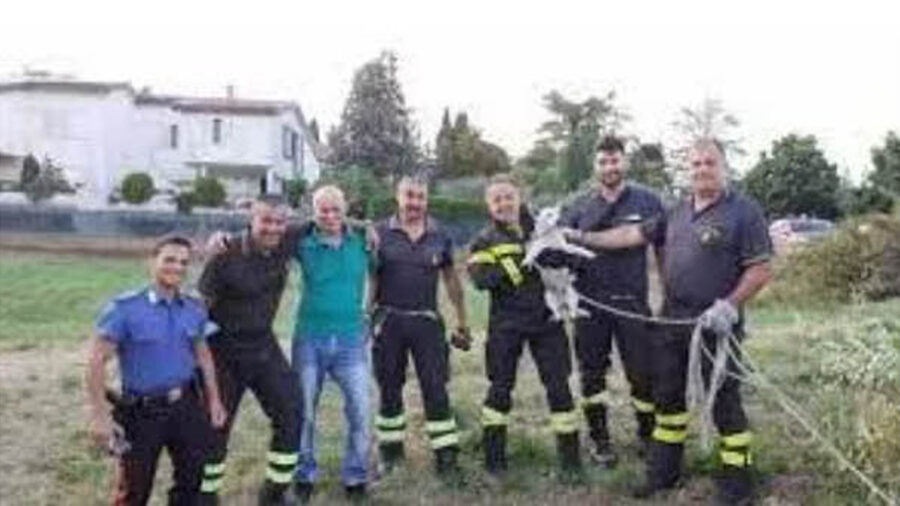 Pompieri con cane salvato