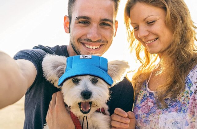 5 cappellini buffi per il cane, che lo proteggeranno dal sole