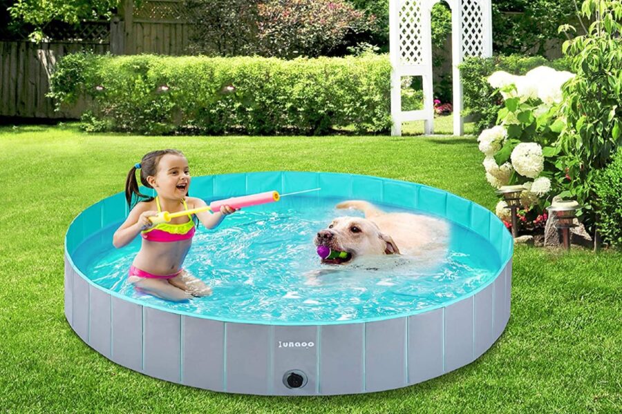 piscina con cane e bambina