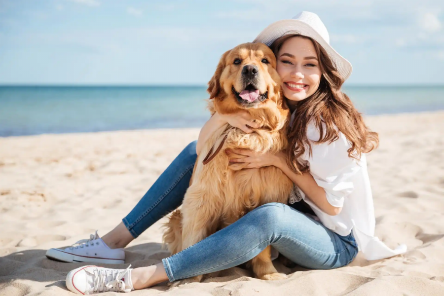 cane e ragazza in spiaggia