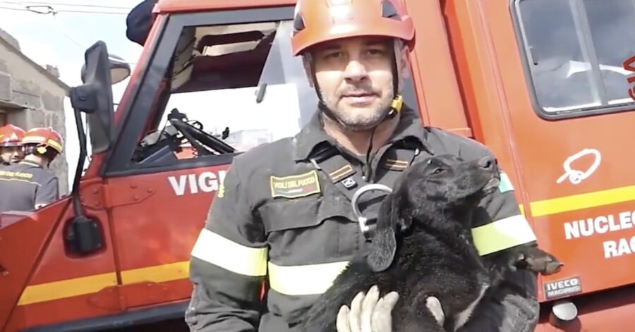 pompiere con cucciolo salvato in braccio