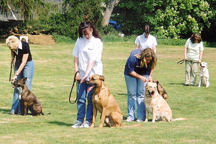 addestratori di cani
