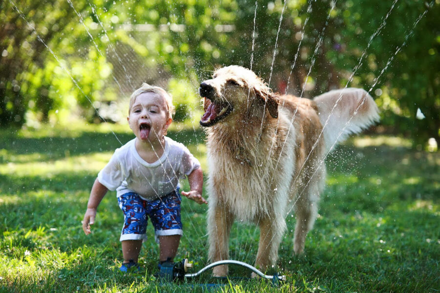 cane e bimbo giocano con l'acqua