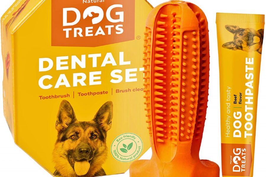 gioco per denti del cane