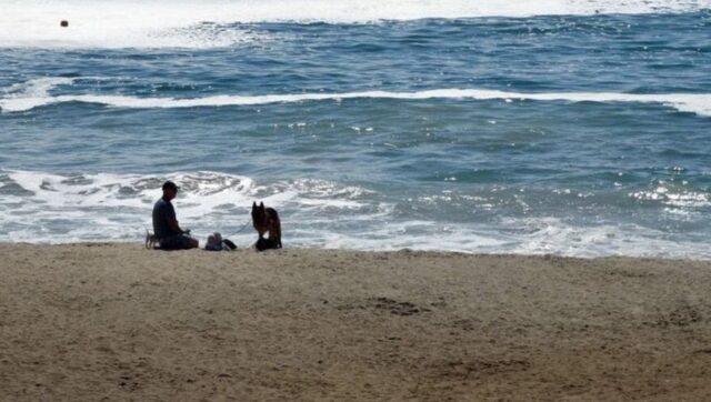 Cucciolo di cane stava per annegare in mare: il padrone muore da eroe