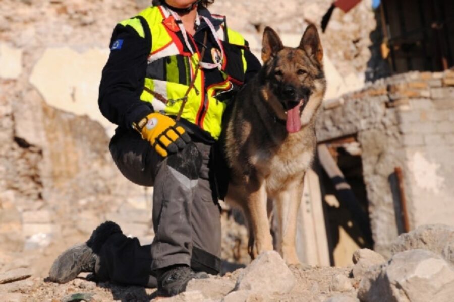 cane da salvataggio