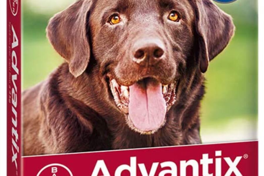 antiparassitario per il cane advantix