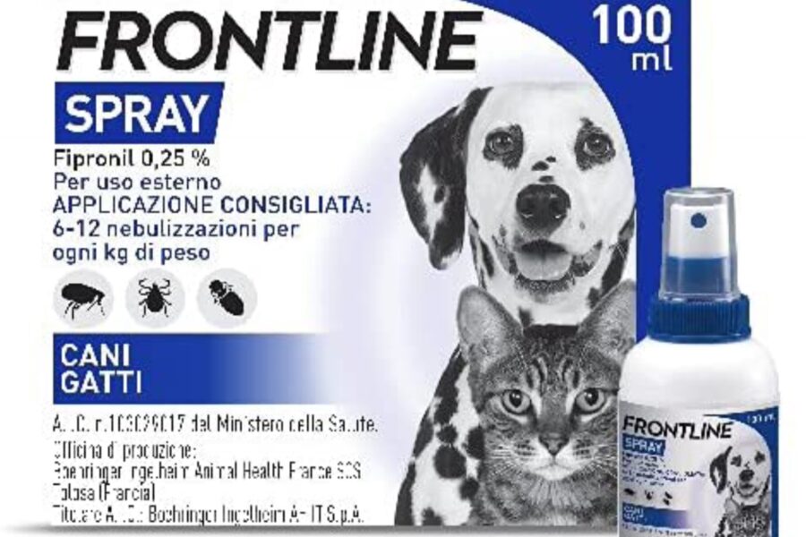 nebulizzatore per cani contro le pulci