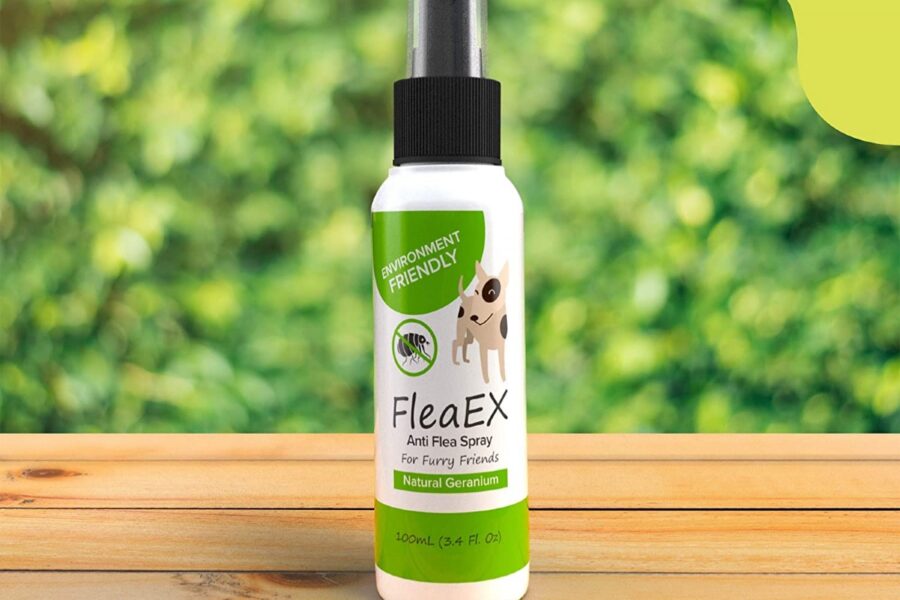 spray contro le pulci per il cane