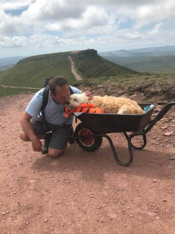 La storia di Monty e il suo ultimo viaggio: al cane restavano pochi giorni di vita