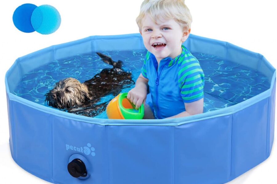 cane e bimbo in piscina