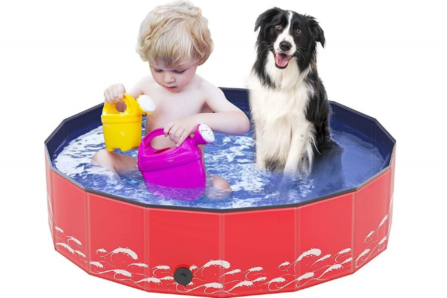 piscina per cani e bambini