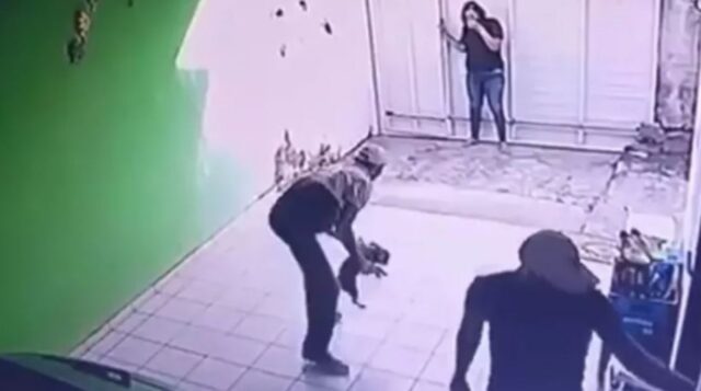 Cane rapito senza alcuna pietà: i due armati di pistola