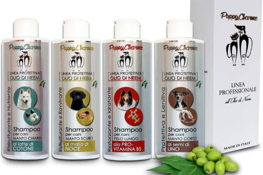 flaconi di shampoo naturale per il cane