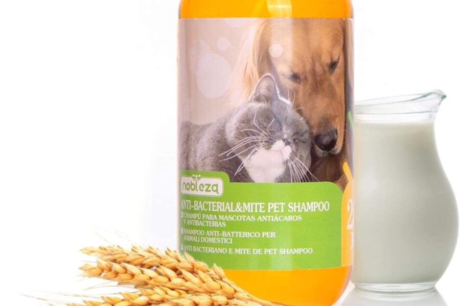 shampoo per cani all'avena