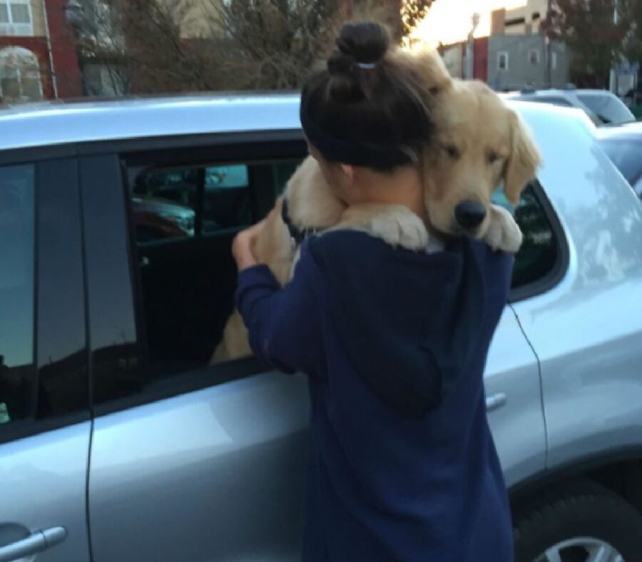 cane abbraccio prima di partenza