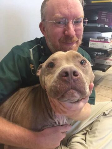 Il cane Deebo salvato dal veterinario che avrebbe dovuto sopprimerlo