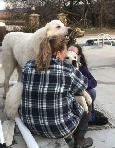 Dopo il tornado che ha distrutto la loro casa il cane si riunisce alla sua mamma umana con un dolce abbraccio