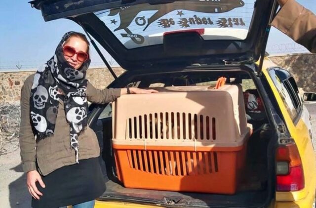 Kabul, la missione di Charlotte Maxwell-Jones di portare via dalla città centinaia di animali