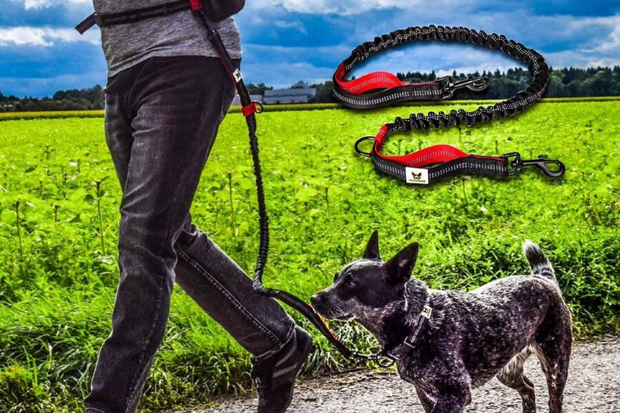 guinzaglio per movimento libero con cane