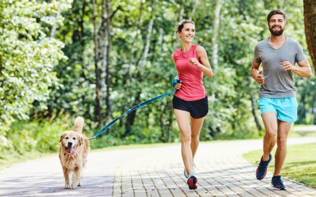 5 accessori per fare sport con il cane davvero utili