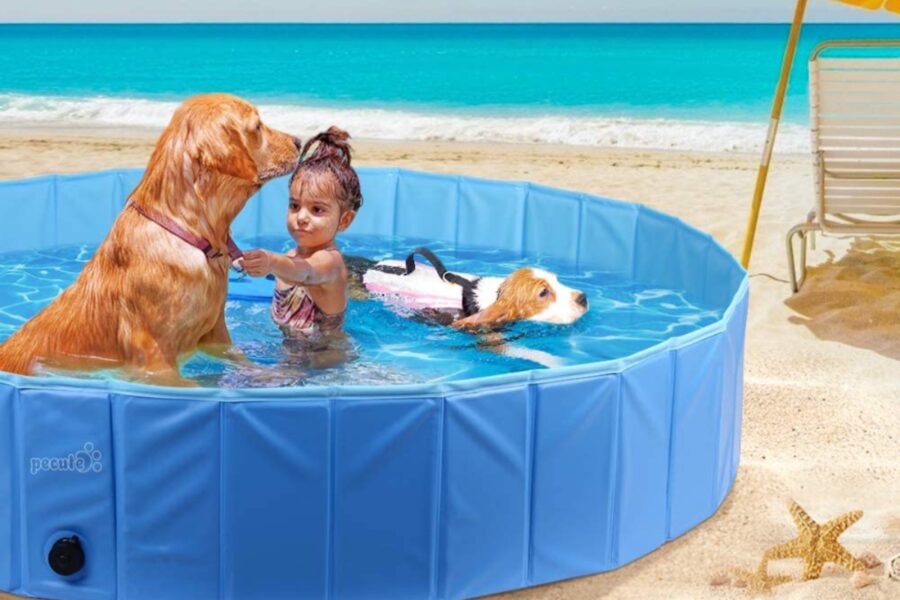 piscina per cani 