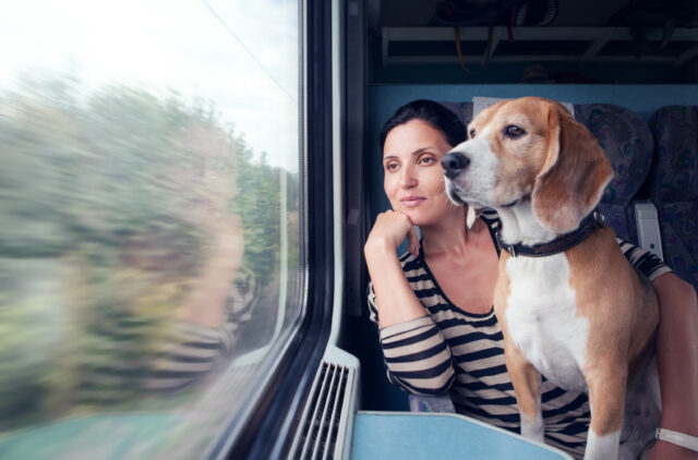 5 accessori per viaggiare in treno con il cane