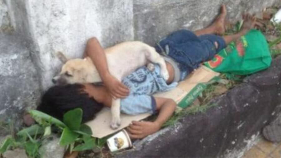 Bimbo orfano con il suo amico cane