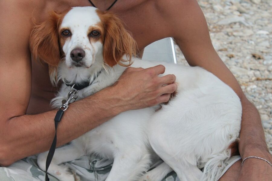 ragazzo abbraccia il suo cane