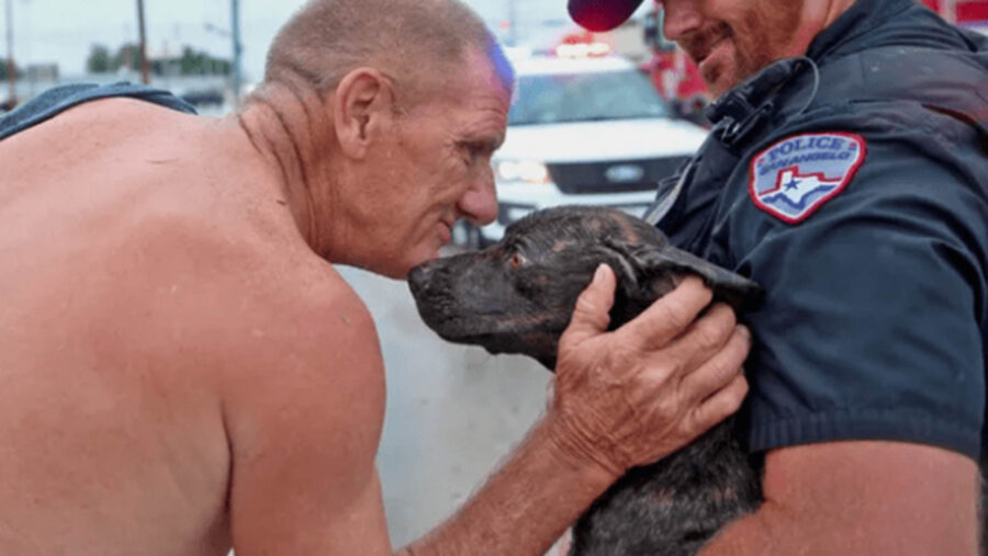 cane salvato dalla corrente