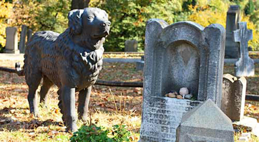statua di cane vicino lapide