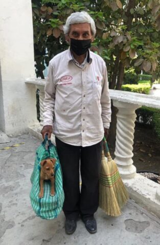 Cucciolo di cane vende scope insieme al suo amato padrone