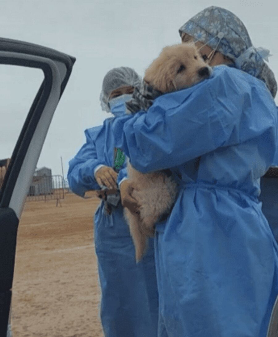 infermiera abbraccia cane