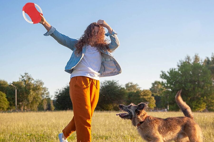 ragazza gioca con il cane e il frisbee