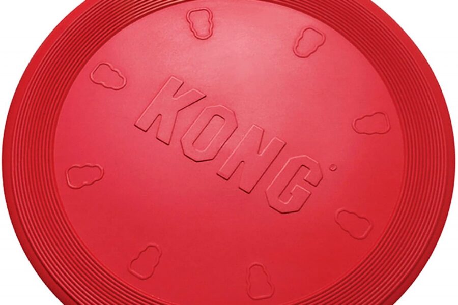 frisbee kong per cane