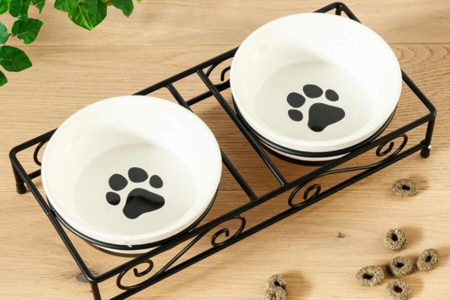 ciotole di ceramica per cani