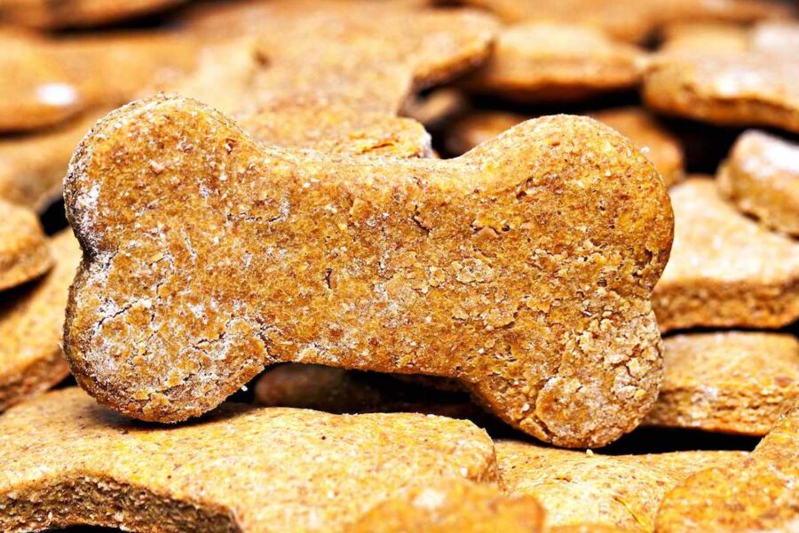 biscotti per cani preparati in casa