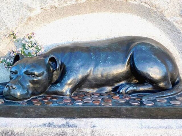 Cane eroe a lei dedicato un monumento che viene visitato tutt’ora