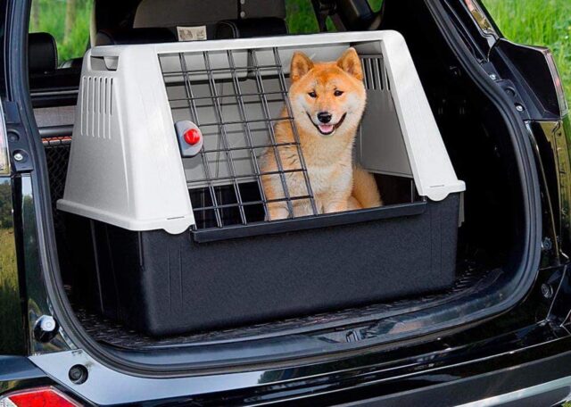 I migliori trasportini per cani, sicuri e comodi