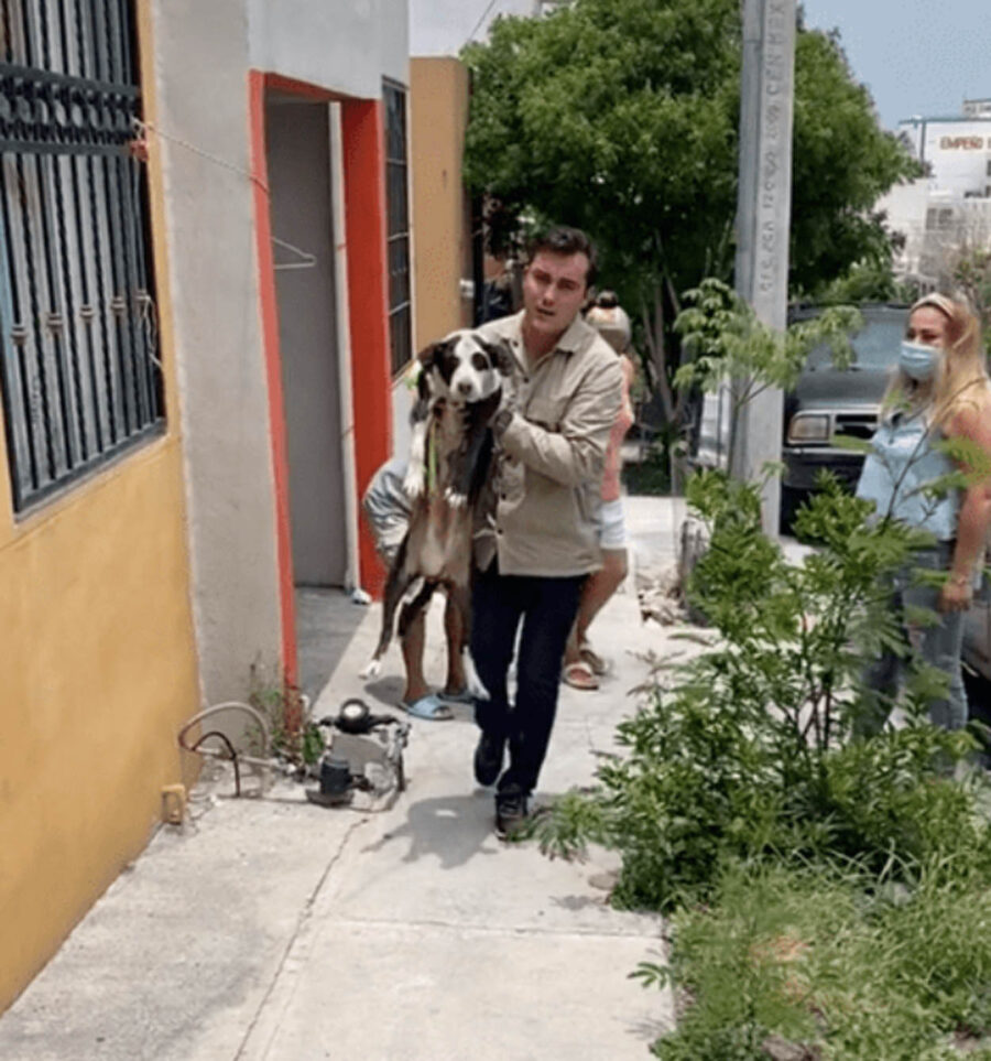 uomo porta cane in braccio