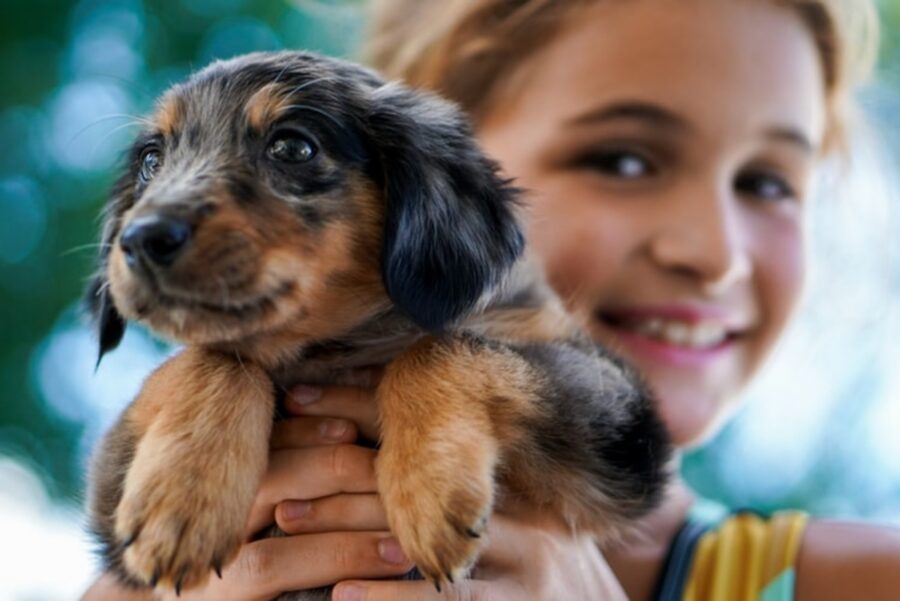 ragazza con cane