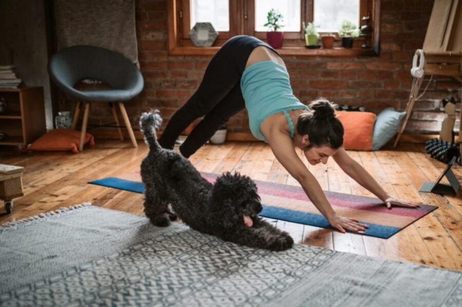 cane yoga mamma