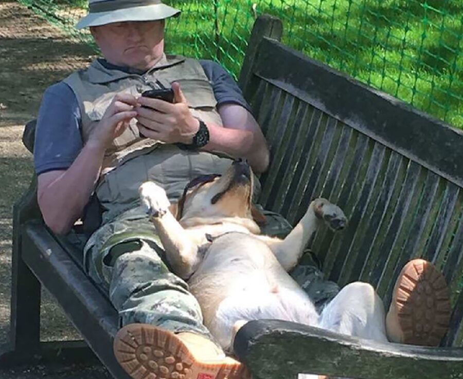 cagnolino dorme insieme proprietario