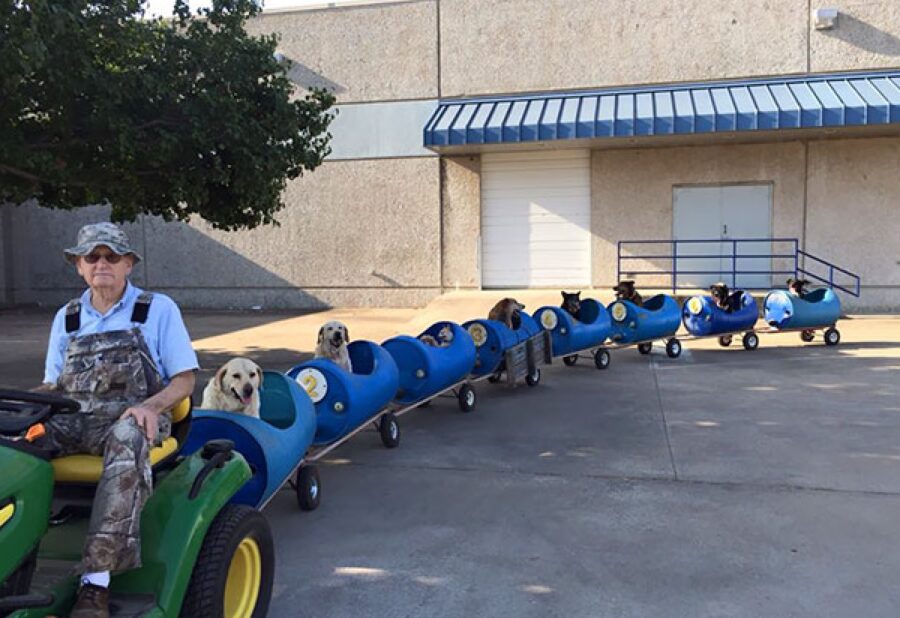 cane su trenino uomo anziano