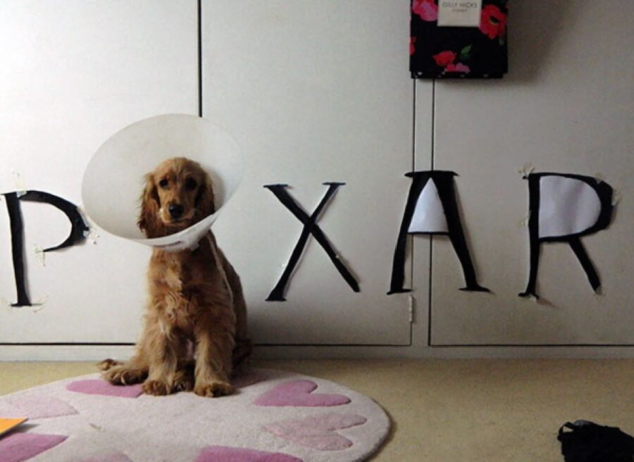 cane come logo pixar