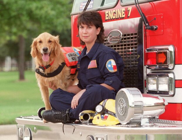 I cani eroi dell’11 settembre non saranno mai dimenticati