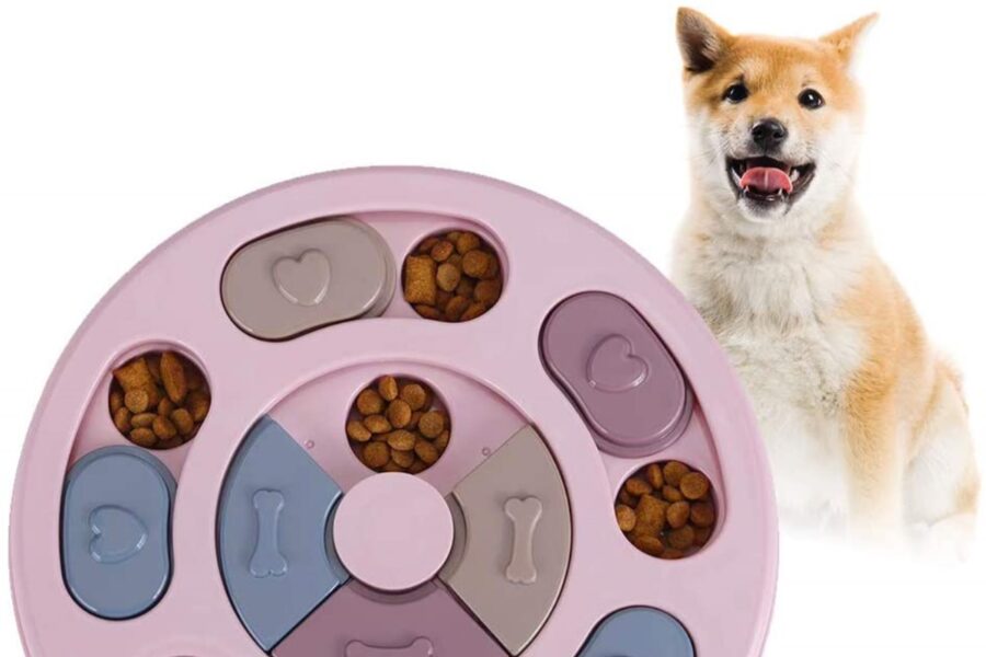 gioco con crocchette per cani